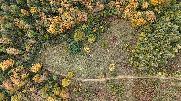  - фото нерухомості